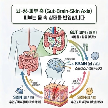 [세종시 보람동 피부 고민]"피부는 왜 내 몸의 '거울'일까? 대표 이미지
